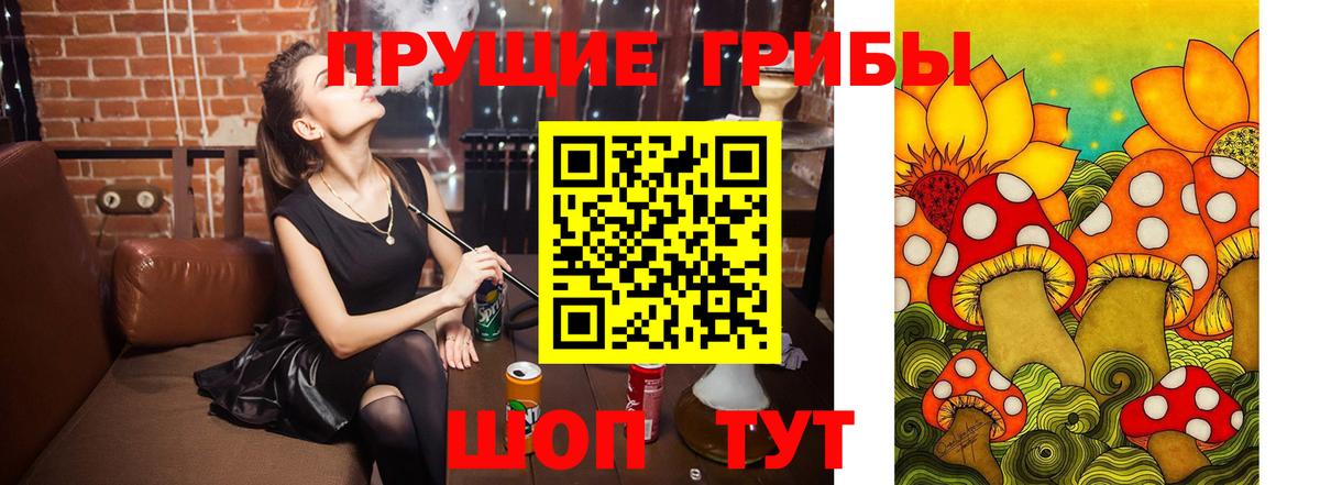 Чернушка  Галлюциногенные грибы Psilocybe  Вход с VPN 